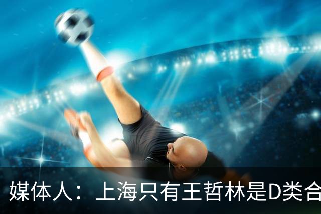媒体人：上海只有王哲林是D类合同 剩余两个顶薪或给张镇麟李弘权